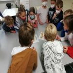 Img 20211122 114717 Klein