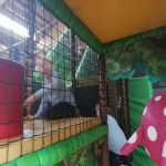 Img 20220506 093513