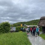 Img 3894
