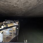 Img 3943