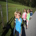 Img 2136 Klein